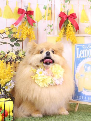 20240428梛都ちゃん